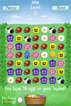 The Spring Board