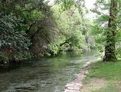 Landa Park and the Comal River