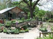 Fredericksburg Herb Farm