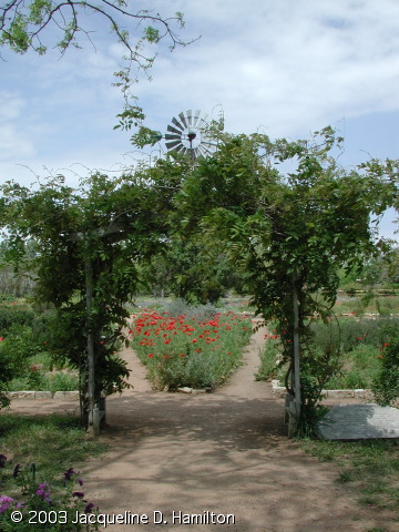 garden_arbor.jpg