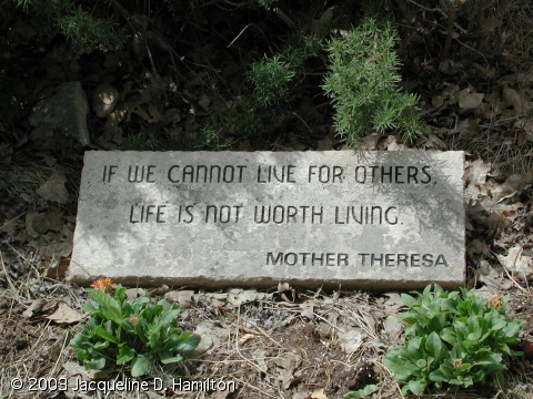 gardenquote.jpg