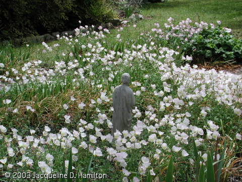 sculpture-in-flowers.jpg