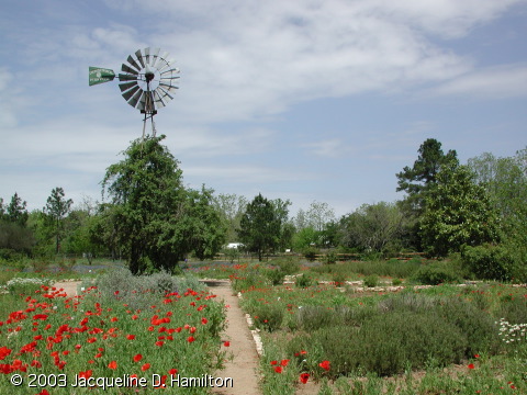 windmill.jpg