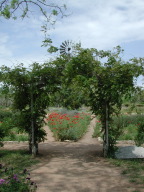 garden_arbor.jpg