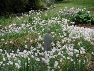 sculpture-in-flowers.jpg