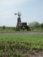 windmill2.jpg